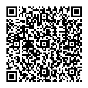 我都忍不住怀疑她是为了满足自己的恶趣味才让雅文和小秋在正式演出吻戏之前先提前彩排一下的二维码生成