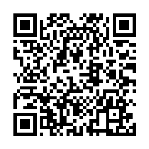 我都是可以把白狐瞬间收入我手腕处的白狐纹身图案中二维码生成