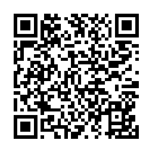 我都能感觉到一排排的牙齿用力的在啃咬着我的手掌心了二维码生成