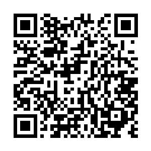 我都能看到我们未来超市的样子……你能原谅我吗二维码生成