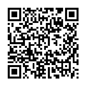 我都记得他们姓名和笑容……现尚存不过四十六万二维码生成