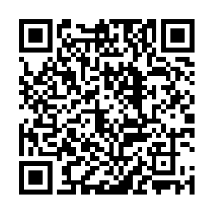 我都该跟他同醉一场啊……哇哈哈哈……真真是太爽了二维码生成