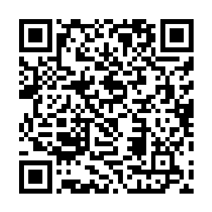 我都迫不及待的想看看四月份满一个月能收到多少月票了二维码生成