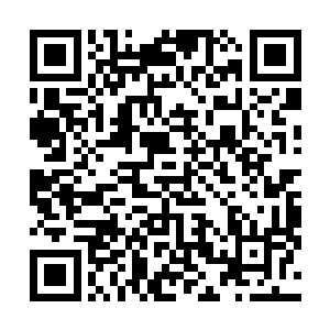 我配不上你的……我只是一个唐家里面最不起眼的小丫头二维码生成