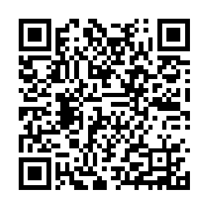 我闻到了我自己的鲜血不断喷出而散发的血腥味道二维码生成