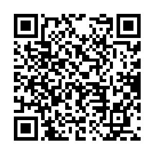 我隐隐约约看到她好像是进旁边的一间别墅里去了二维码生成