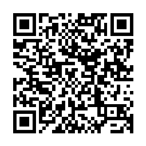 我需要云师兄以天梵火配合我的离火脉重新提炼和还原出乌云砂二维码生成