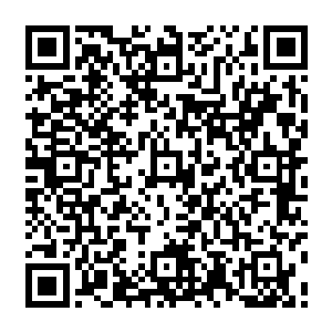 我需要你的领导能力和作战能力――听说你在你们的世界里是个擅长排兵布阵的将军二维码生成