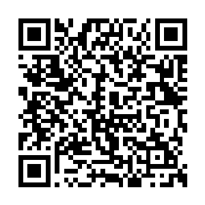 我需要用我手臂之中吸收的灵魂作为式神来上身二维码生成