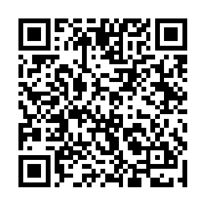 我需要能信得过的人去新西兰开始筹备一个大型项目二维码生成