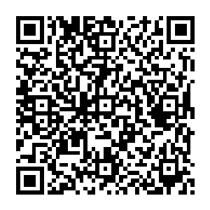 我需要趁着紫衣姐姐重生元青姐姐出现的短暂虚弱期――也就是一两年甚至更短时间内完成二维码生成