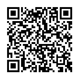 我静静的抬起头张望着空中那朵巨大的玄黑莲花二维码生成