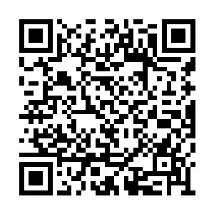 我静静的看着汤思可沉溺在她喜爱的鬼片世界中二维码生成