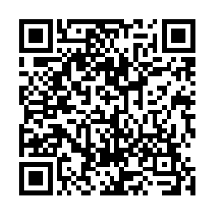我面色狂变不断地挣扎但是脚踝上的手丝毫没有松开的预兆二维码生成