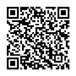 我顶多只能担任国资委下属的某个局办的一把手二维码生成