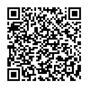 我马上就想起了唐晓柔温柔可爱俏皮卖萌暖暖时的样子……木系丸号二维码生成