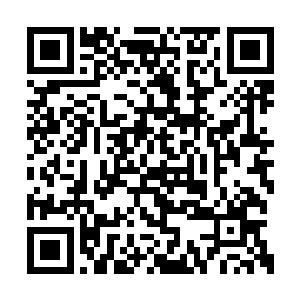 或多或少都应该记录了一些关于修真的基本情况二维码生成