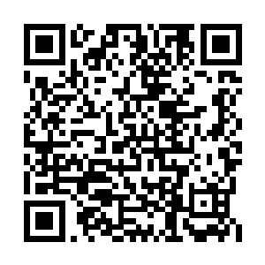 或是刚被人吸了精元……基本上都是一群软脚虾二维码生成