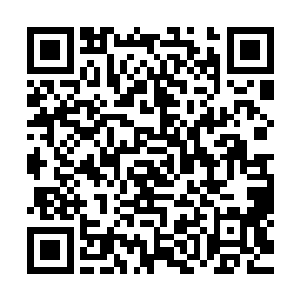 或秀气……但每个人肢体动作里泄露出来的兴奋却是如此相似二维码生成