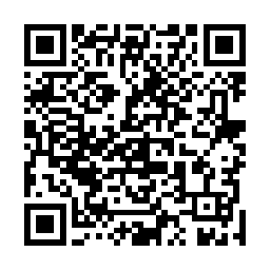 或者……这就是叶南天为了儿子肯不顾一切的原因了……二维码生成