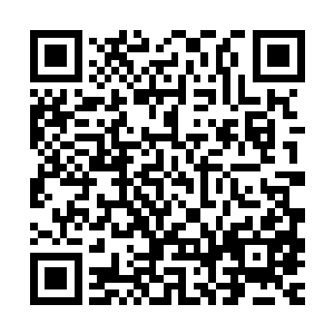 或者上古时期的哪一个神祇确实在梓冰的身体内布下了这个禁制二维码生成
