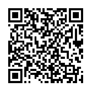 或者两三个各自要好或者有面缘合作过的相熟仙家混成小队二维码生成