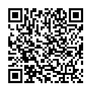 或者也有一些认为自己实力还可以的圣级强者会组成队伍二维码生成