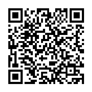 或者书你又怎会知道你自己前世是个什么样的存在呢二维码生成