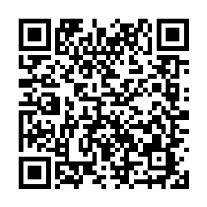 或者五界帝子之间的兄弟之情只是蒙蔽外人的假象二维码生成