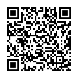 或者他并不认为一个十三四岁的的陌生少年会见过韩明月本人二维码生成