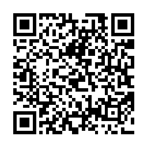 或者他必须重新审视自己面前这个所谓的地球文明代表二维码生成