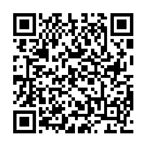 或者古老的大地之下徒然钻出一头堪比涅槃君主的蟒蛇二维码生成