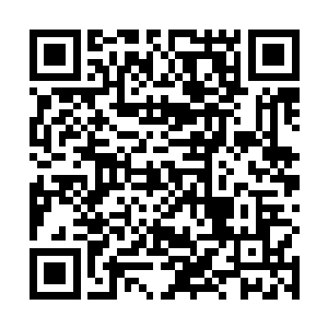 或者可以理解为苏小爱和君无妄的感情已经完全劈裂了二维码生成