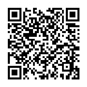 或者啸天雷龙一族多出来几个拥有不朽血脉的逆天神皇二维码生成