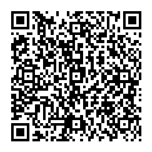 或者在骤然枪击之后幸存下来的武装分子除了少数几人发泄的对着声音消失方位打了几梭子子弹二维码生成