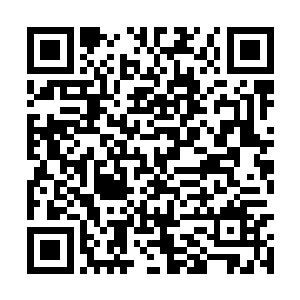 或者您告诉我秃鹫计划的真相和地球的奥秘也行啊二维码生成