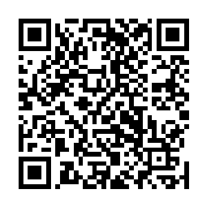 或者想要去大海这一行为就是隐藏在它基因中的一种本能二维码生成