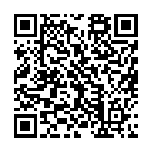 或者换个场合王世子这番话绝对会让人震撼到无以复加二维码生成