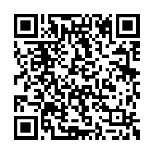 或者整个夜家接受一番我座下这些宝贝们的进攻二维码生成