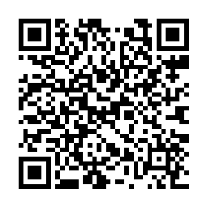 或者是一场能把人魔两族都卷入进去的惨烈的杀劫二维码生成