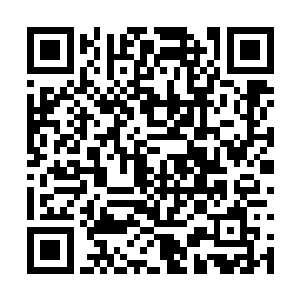 或者是为了诱惑张潇晗坐下来吸收炼化更多的灵力二维码生成