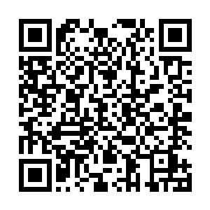 或者是像其他人一样有机会去重生或者穿越一下什么的二维码生成