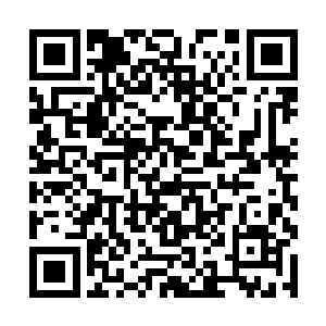 或者是在对方的心脏旁边埋设几个极度危险的毒液囊二维码生成