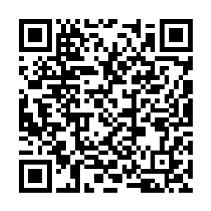 或者是某样东西压制住了这一片原本要躁动的阴魂二维码生成