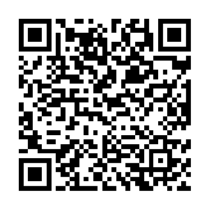 或者更确切的说是这三个犀牛精背后的青丘一脉不想杀他们二维码生成