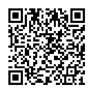 或者没有能力披荆斩棘自己闯出一条路来的新人二维码生成