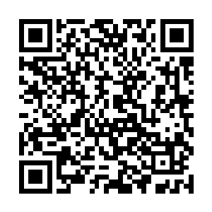 或者满足孩子想要追星愿望去看一场港台歌星的演出二维码生成