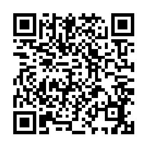 或者用步话机调集刚刚开进城区大型机械进行突击挖掘二维码生成