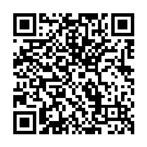 或者直接鼓动你们年级里不满格力斯他们平日所作所为的一些人二维码生成