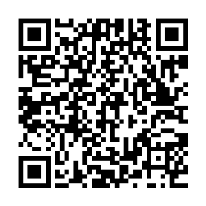 或者笑君主大人原本有想要对付这些黑衣人的想法和实际行动二维码生成